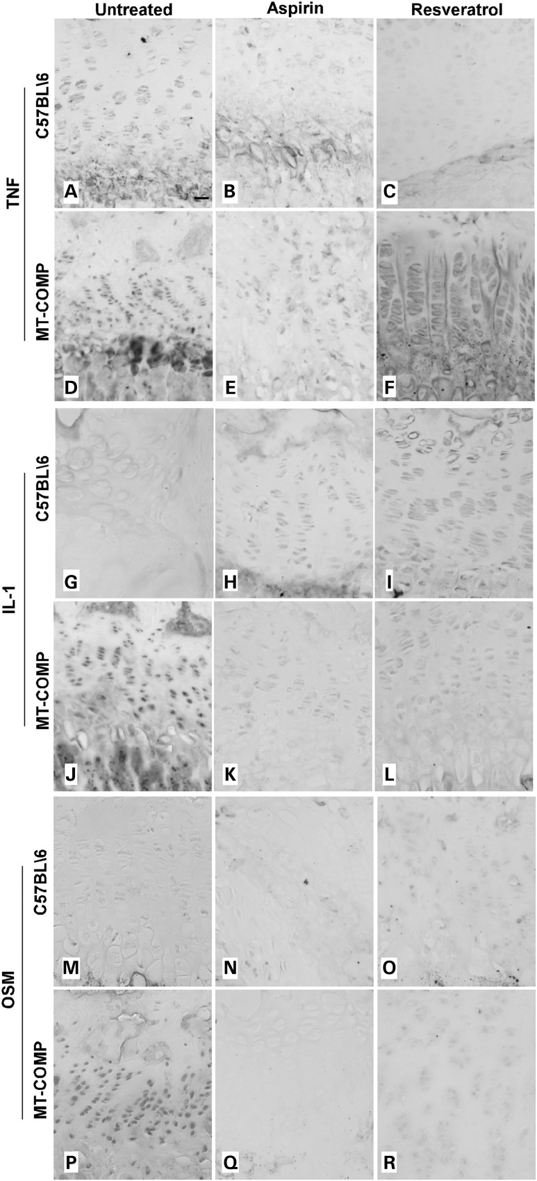 Figure 4.