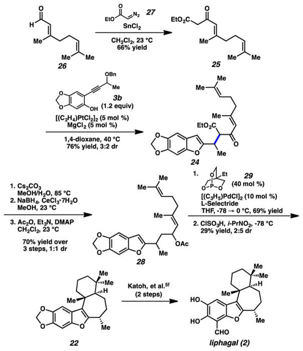 Scheme 5