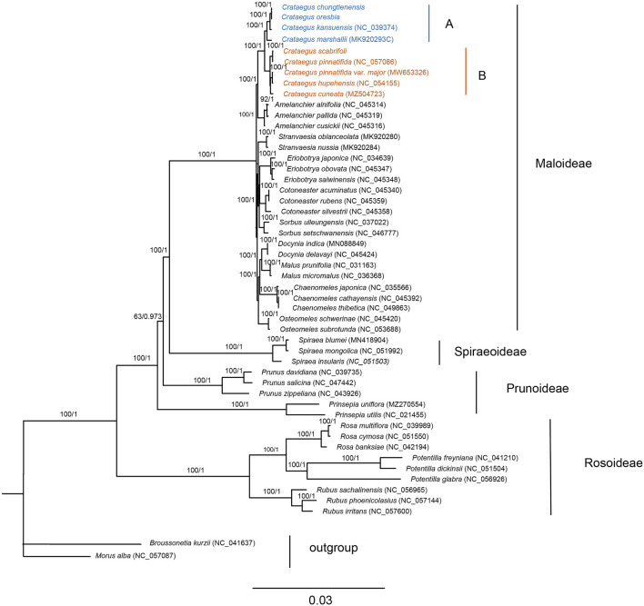 FIGURE 6