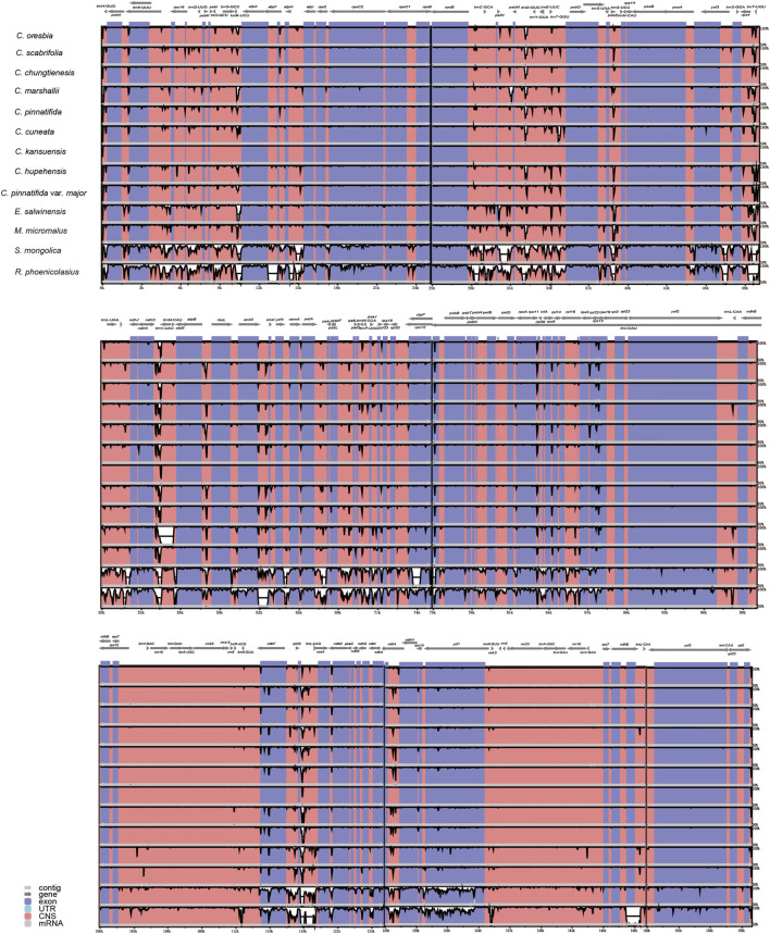 FIGURE 3