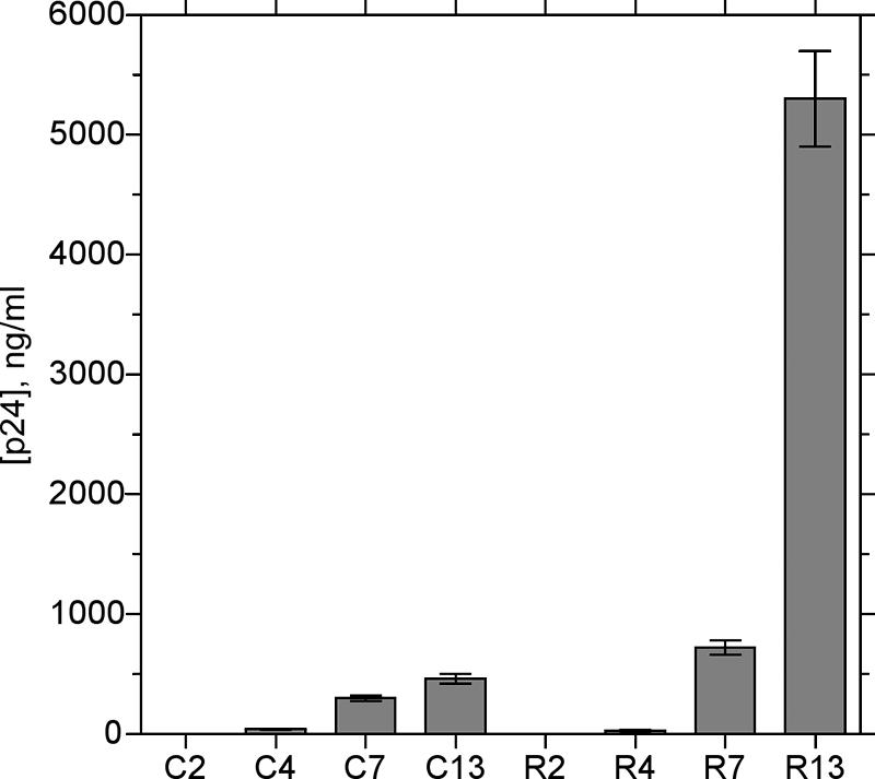 FIG. 2.