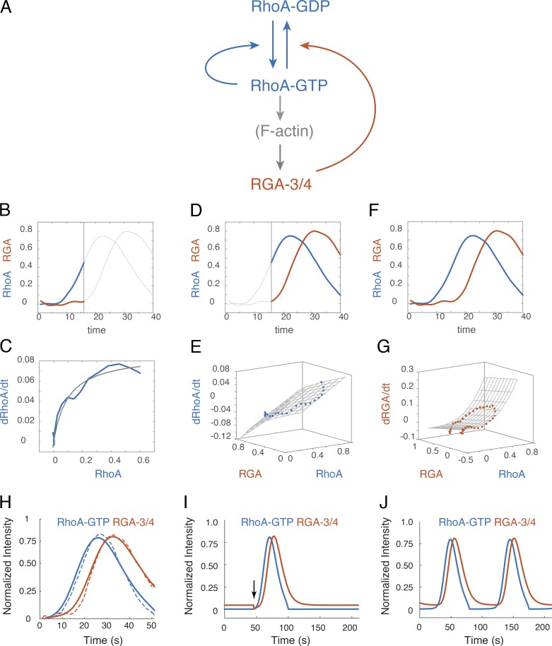 Figure 10.