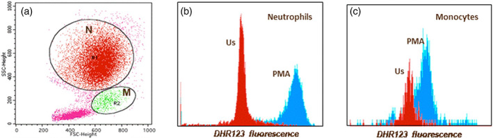 FIGURE 2