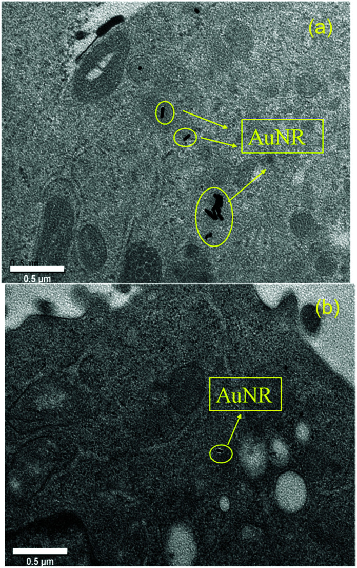 Fig. 8