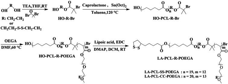 Scheme 1