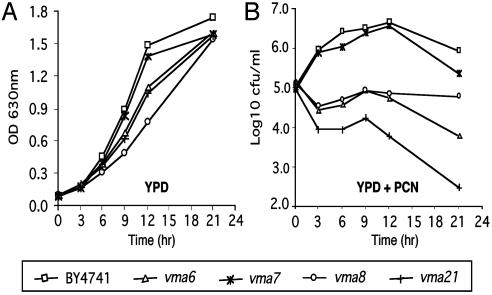 Fig. 3.