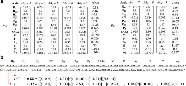 Fig. 2