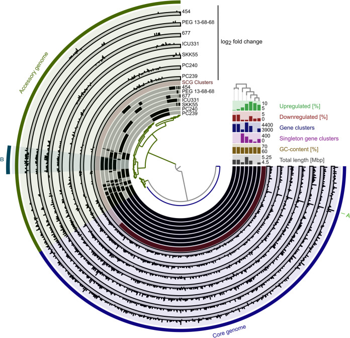 FIG 6