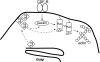 Figure 9.