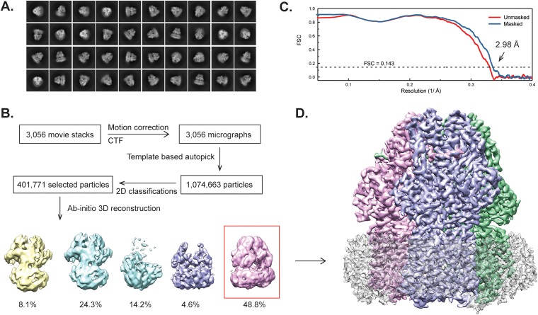 FIG 1