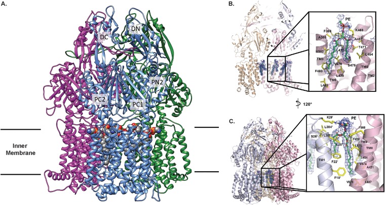 FIG 2