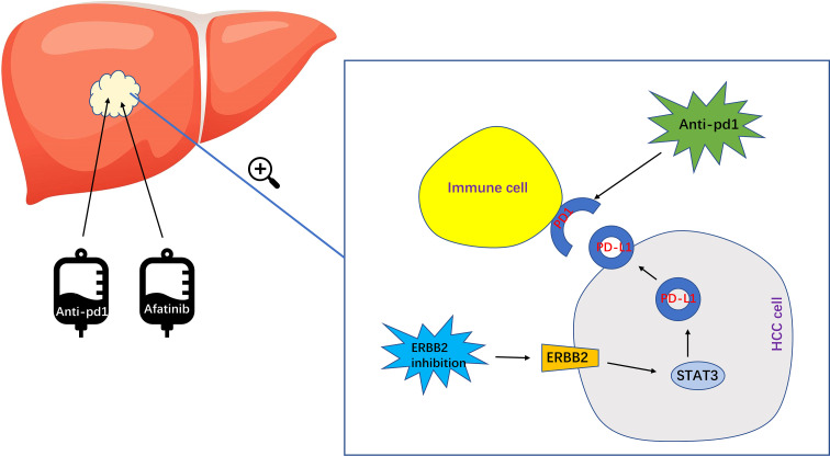 Figure 7