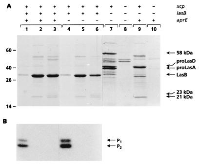 FIG. 1