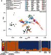 Fig. 2.