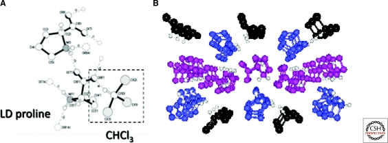 Figure 10.