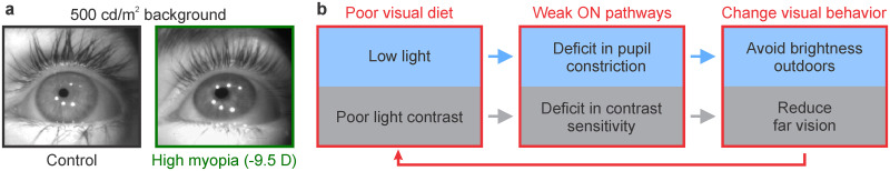 Figure 11.