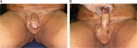 Figure 6:
