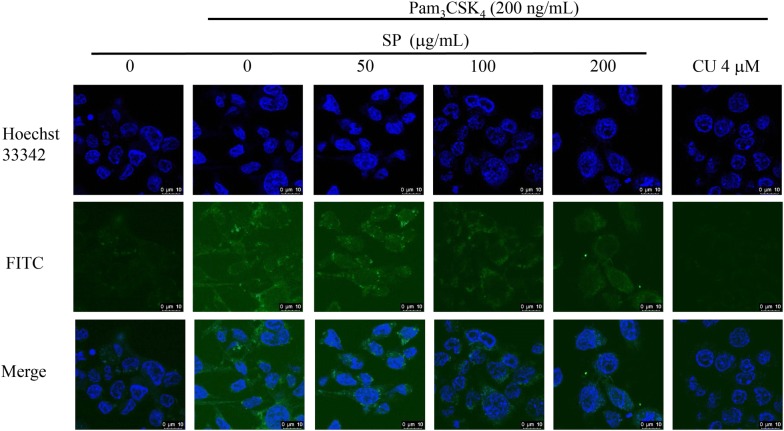 Fig. 4