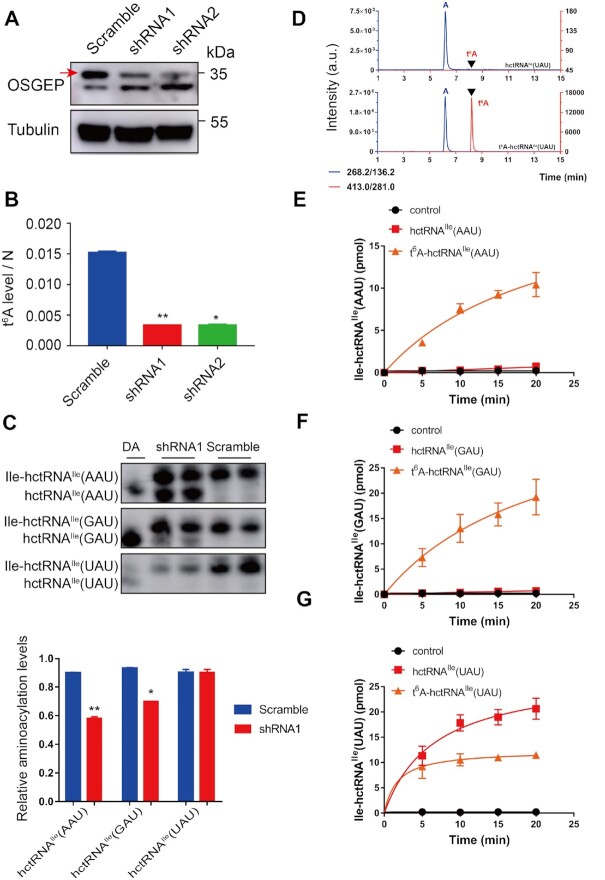 Figure 7.