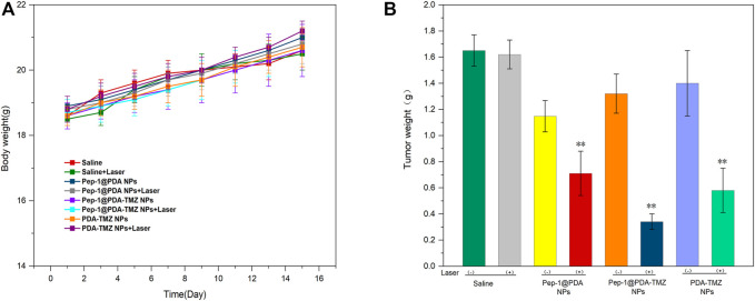 FIGURE 13