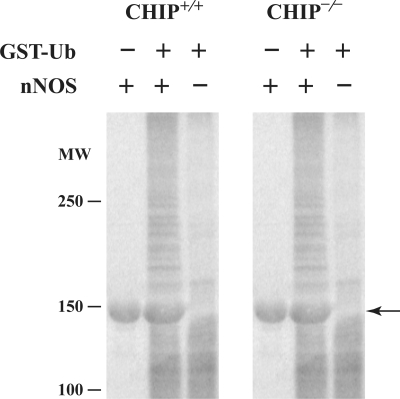 Figure 2.