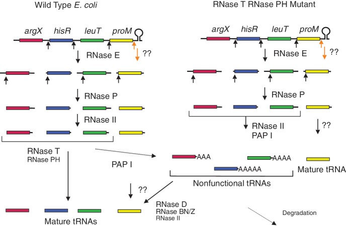 Figure 10.