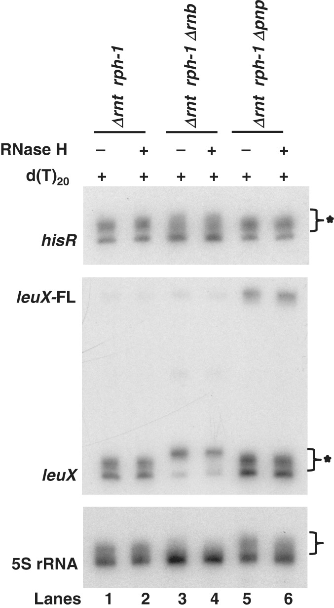 Figure 9.