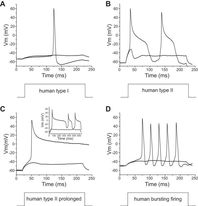 Fig. 3.