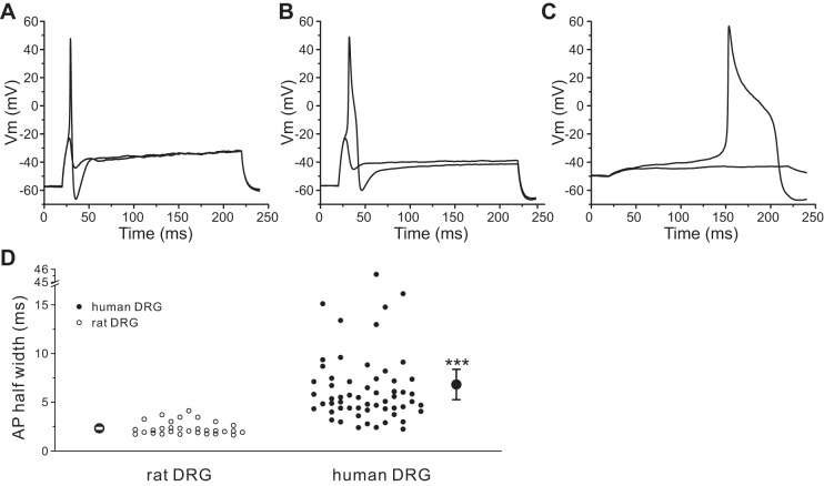 Fig. 8.