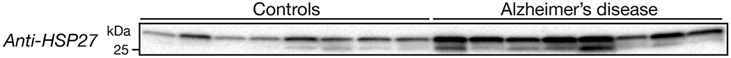 Extended Data Fig. 9