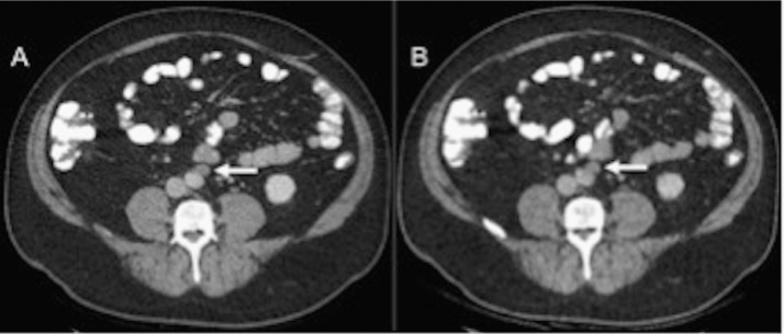 Fig. 5