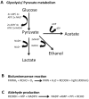 Fig 9