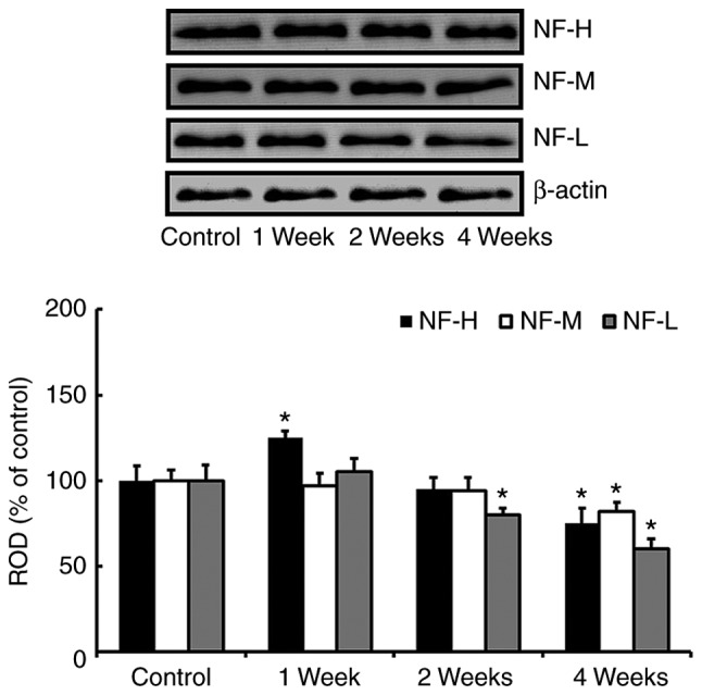 Figure 2.