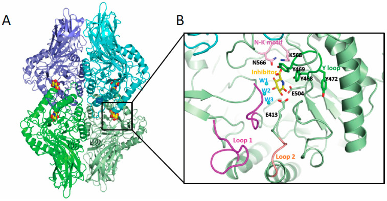 Figure 2