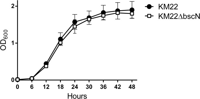 FIG 1