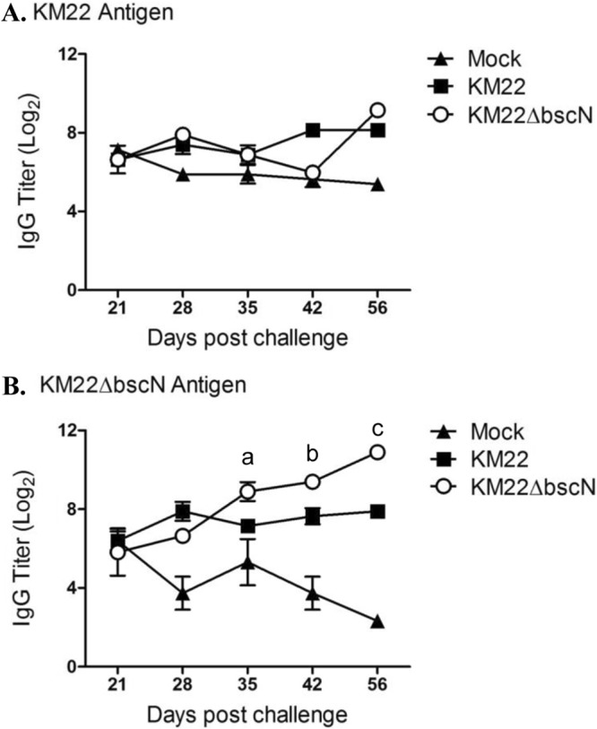 FIG 6