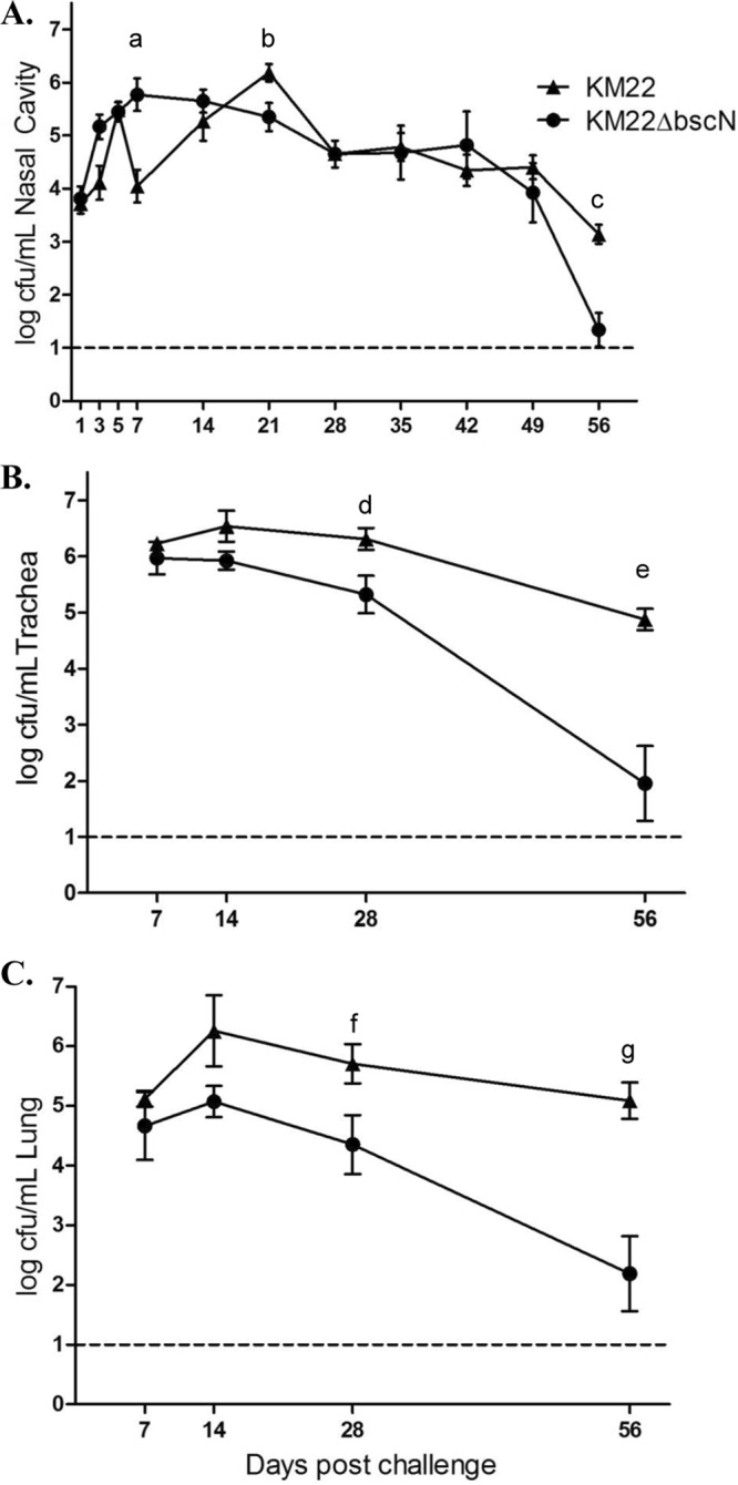 FIG 4