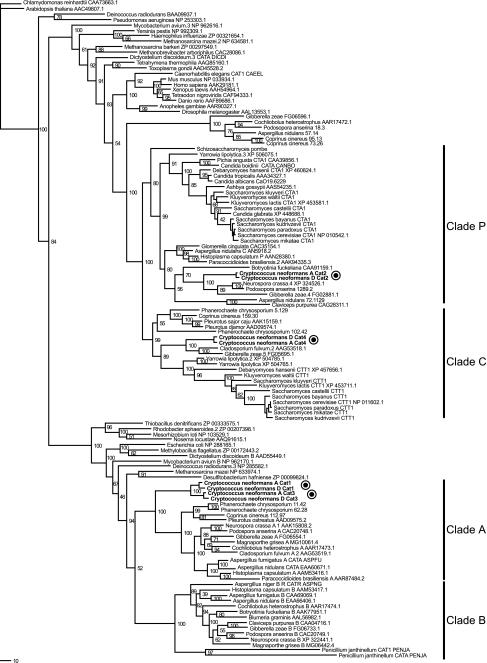 FIG. 1.