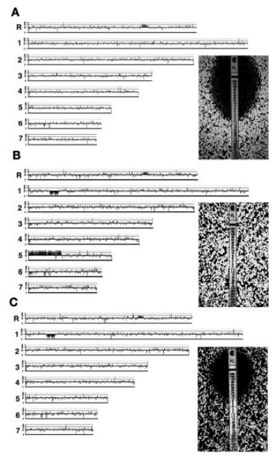 Fig. 3