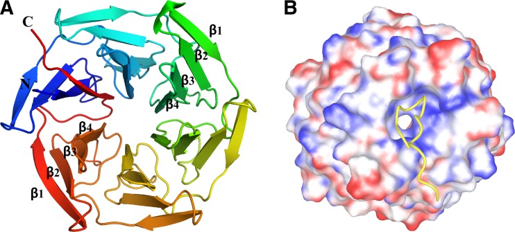 Fig. 3