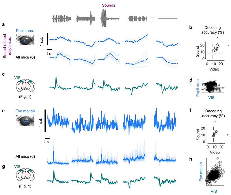 Extended Data Fig. 5