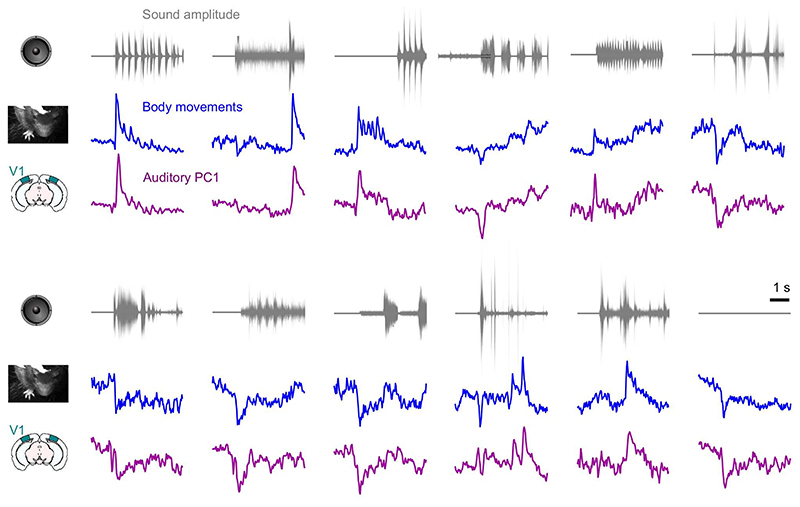 Extended Data Fig. 4