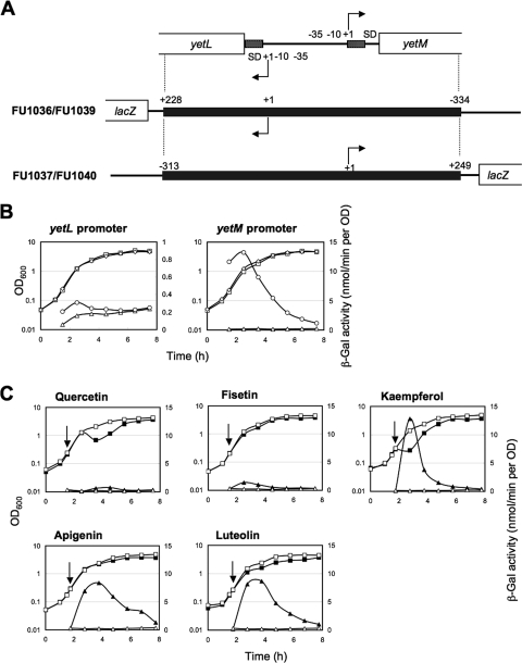 FIG. 6.