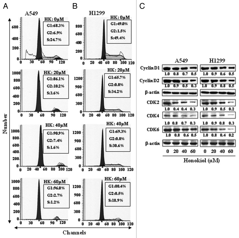 graphic file with name epi-8-54-g4.jpg