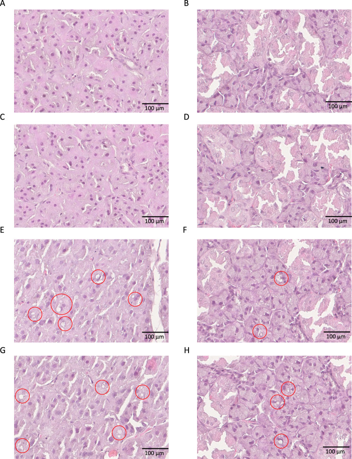 Fig. 12