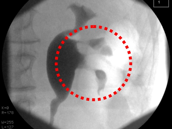 Figure 2