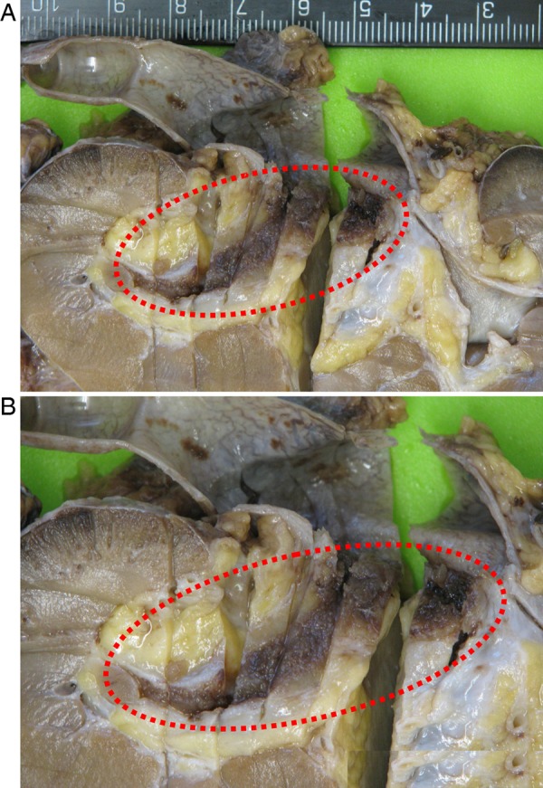 Figure 4