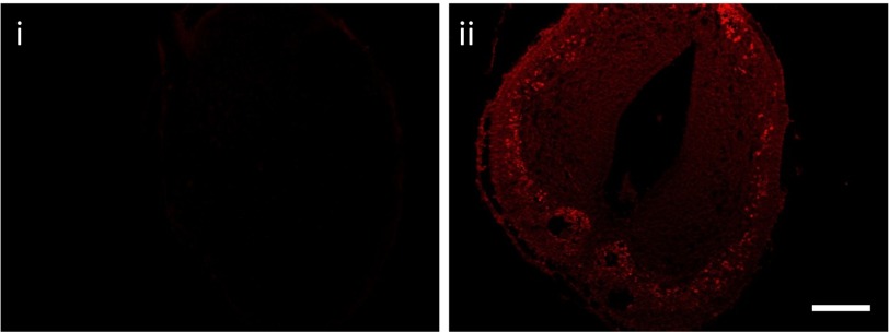 Fig. S6.