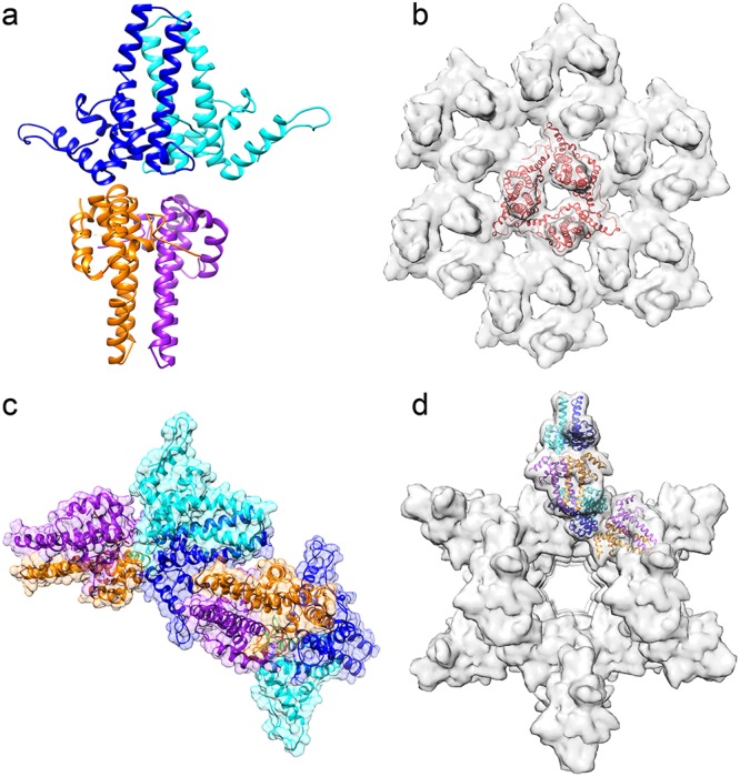 FIG 2