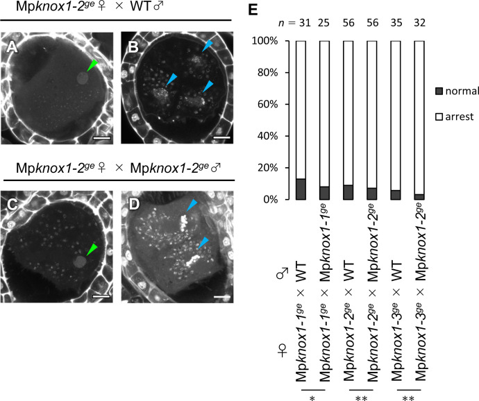 Figure 4—figure supplement 6.